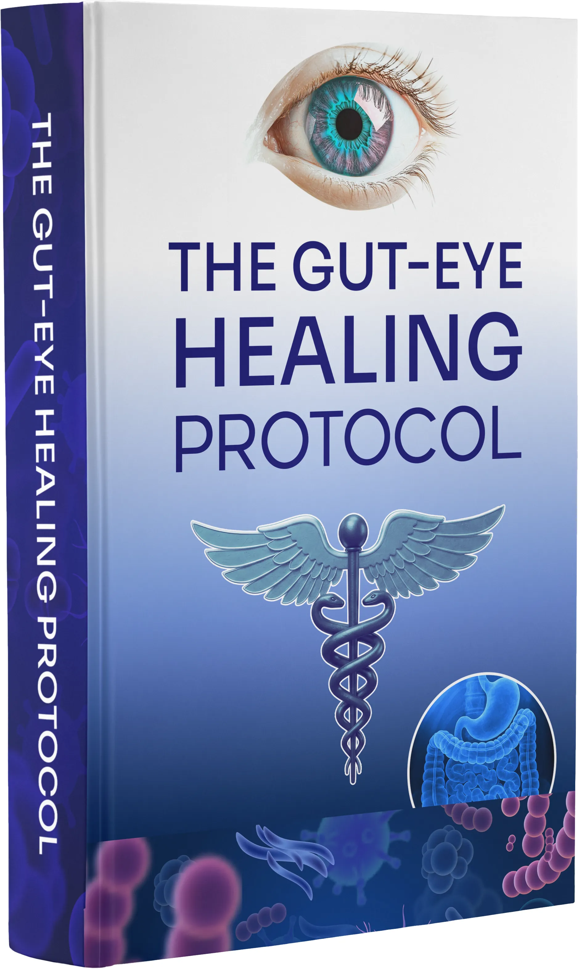 Gut-Eye Healing Protocol digital manual cover. Educational resource for VisiFlora eye health system. Highlights internal wellness for sharper vision and ocular support in the USA.